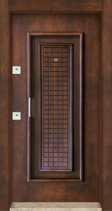 Wood Patterned Steel Door-BRG-109