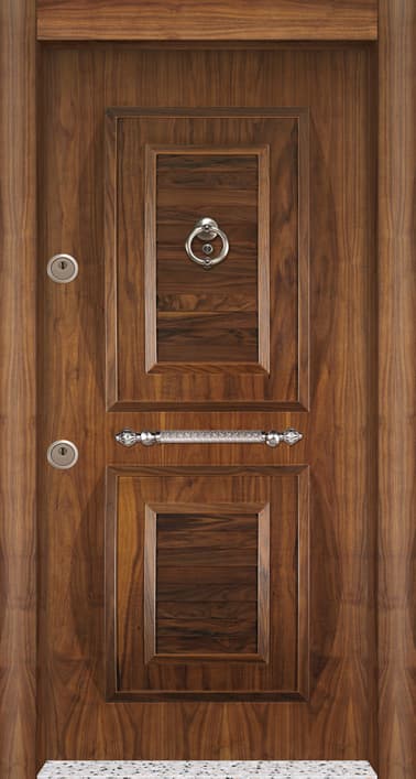 modern steel door model-BRG-110