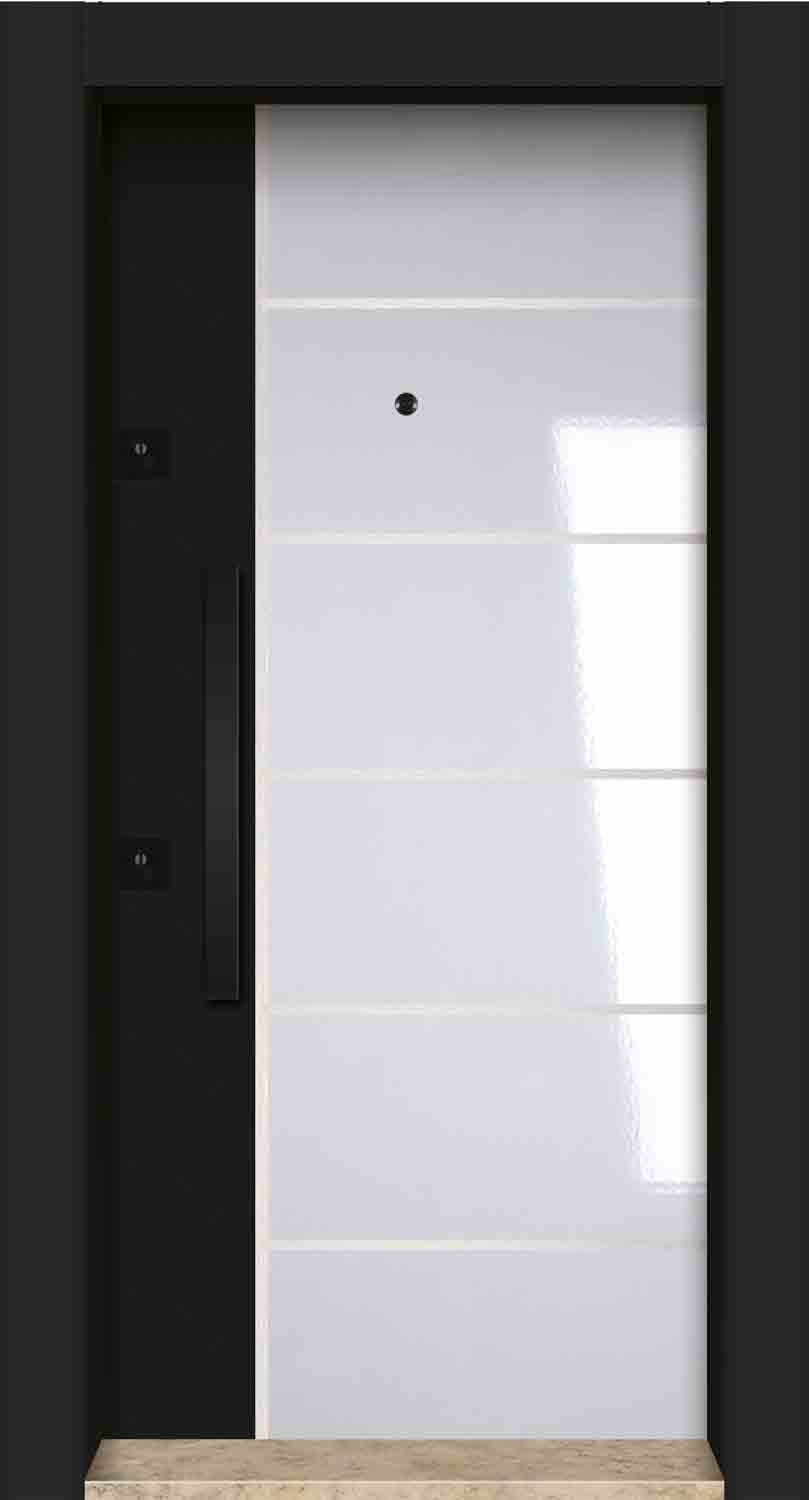 Black and White Steel Door Model