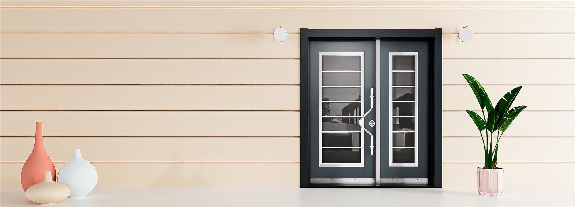 Entrance Steel Doors