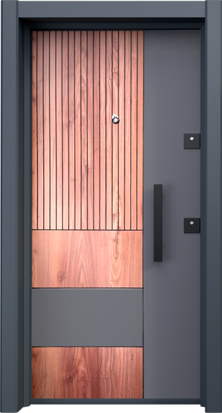 Economic Steel Door-BRG-1701-Anthracite